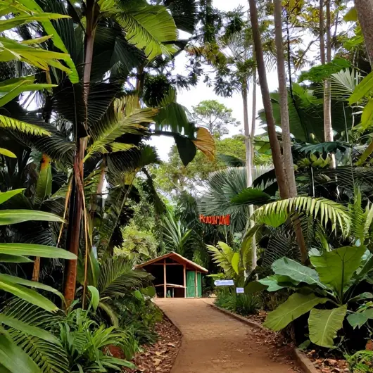 AventuraMT: Explore as Belezas do Mato Grosso