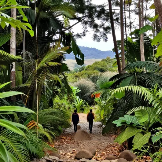 Descubra as Trilhas e Caminhadas Imperdíveis em Cuiabá