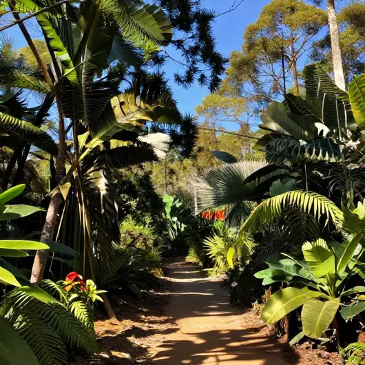 Descubra o Parque Estadual Águas do Cuiabá