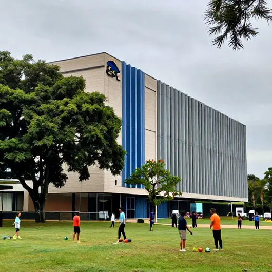 Descubra o Sesc Porto