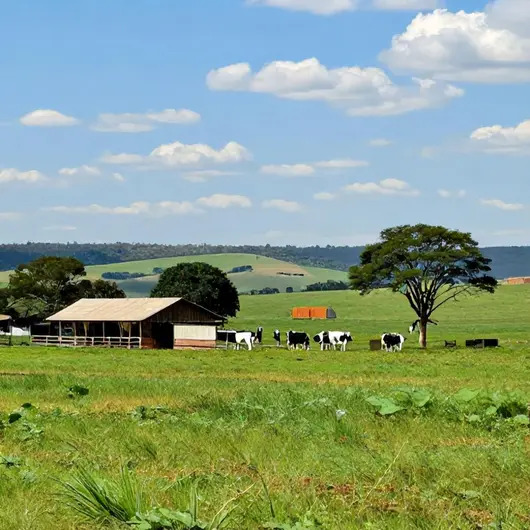 Descubra o Turismo Rural e Distritos de Cuiabá
