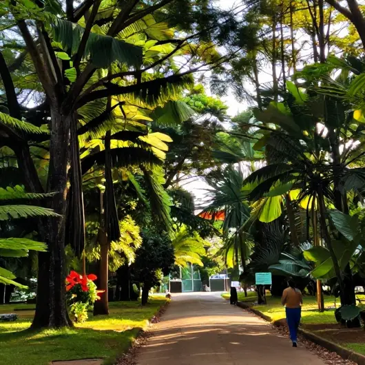 Descubra os Melhores Bosques, Jardins e Áreas Verdes de Cuiabá