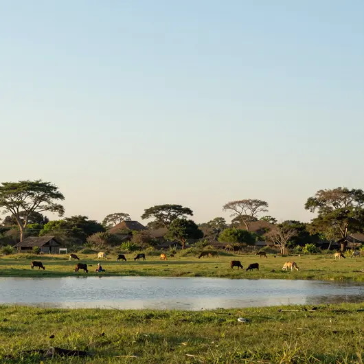 Explorando o Pantanal Norte de Cuiabá: Um Guia Completo