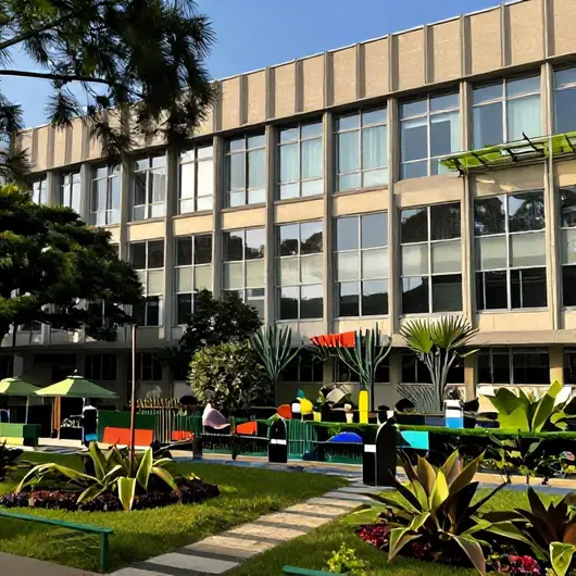 Instituto do movimento: Conheça este espaço único