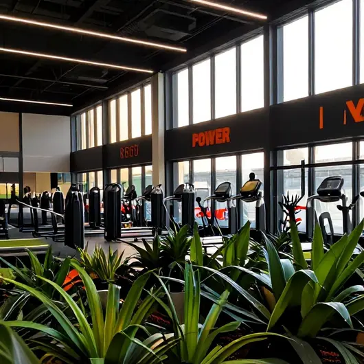 Power Fit Academia Power Fit Academia