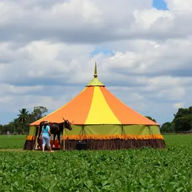 Mato Grosso AgroFestival