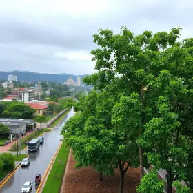 arborização urbana