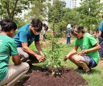 Projeto Verde em Ação