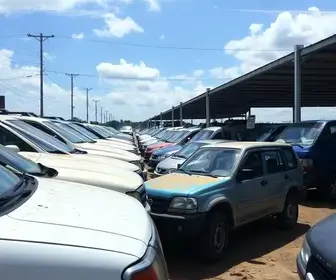 leilão de veículos